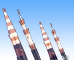 ��������������|