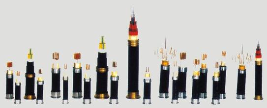 IPD����ϵ�y�ڿ�����|�ИIͬ���m��